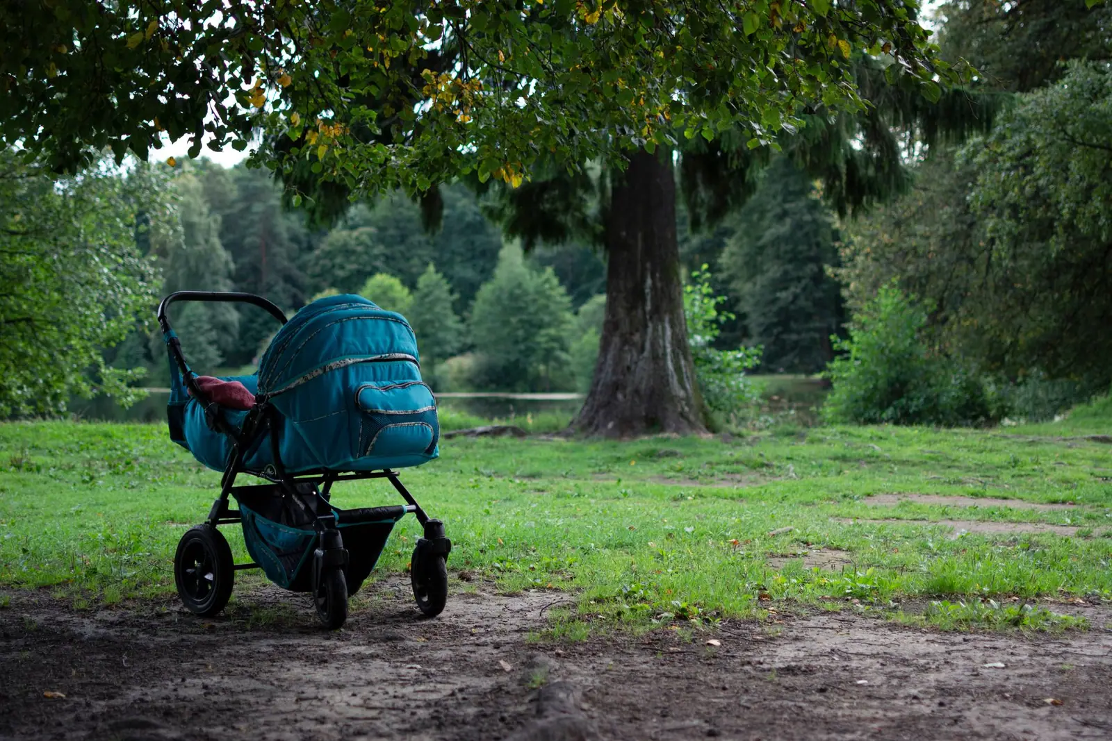 A dark stroller parked on a grassy path beneath trees